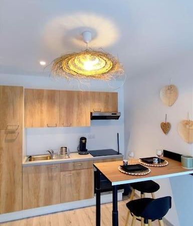 Appartement Cosy, Detente Avec Terrasse Pleurtuit Dış mekan fotoğraf